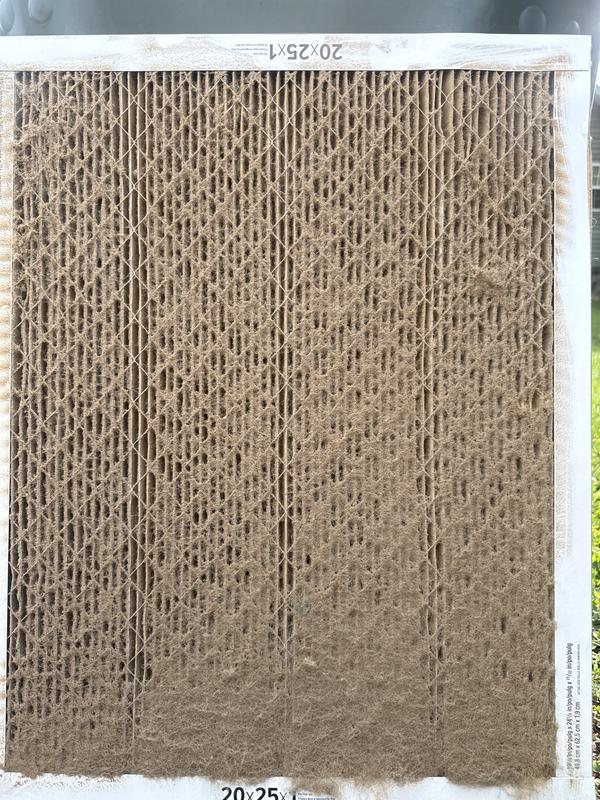 Photo - commentaire 1.