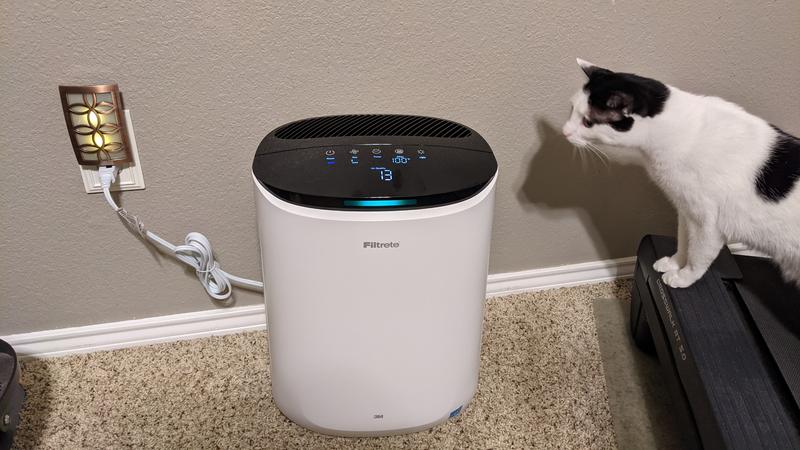 It goes perfectly with our cat.