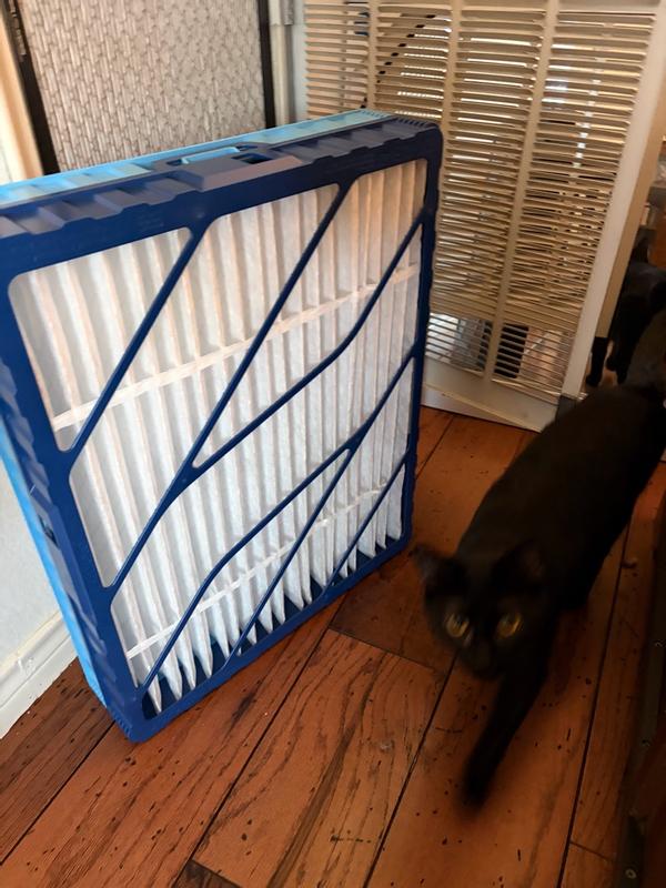 Photo - commentaire&nbsp;1.