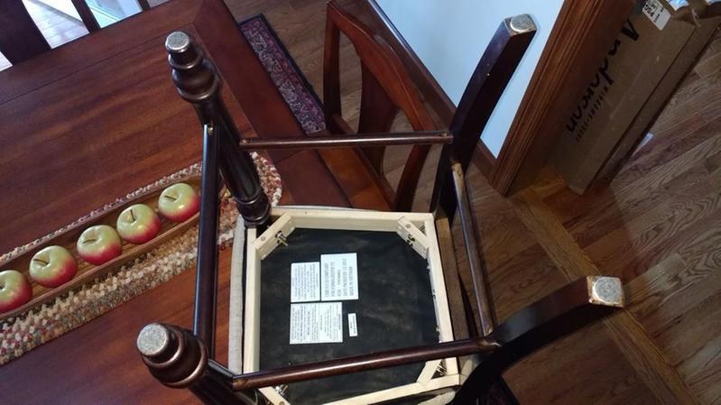 All four legs have pads.