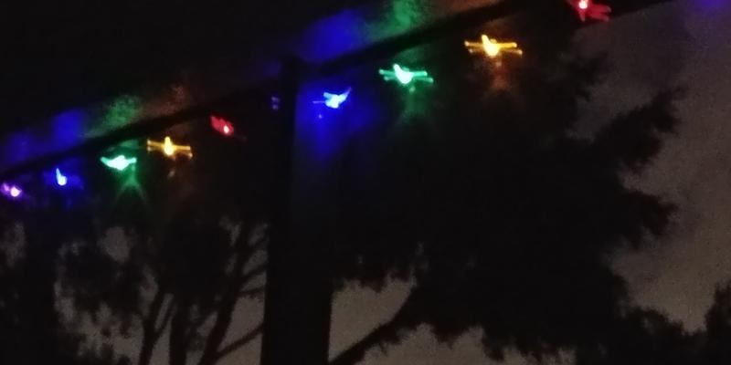 Outdoor solar lights