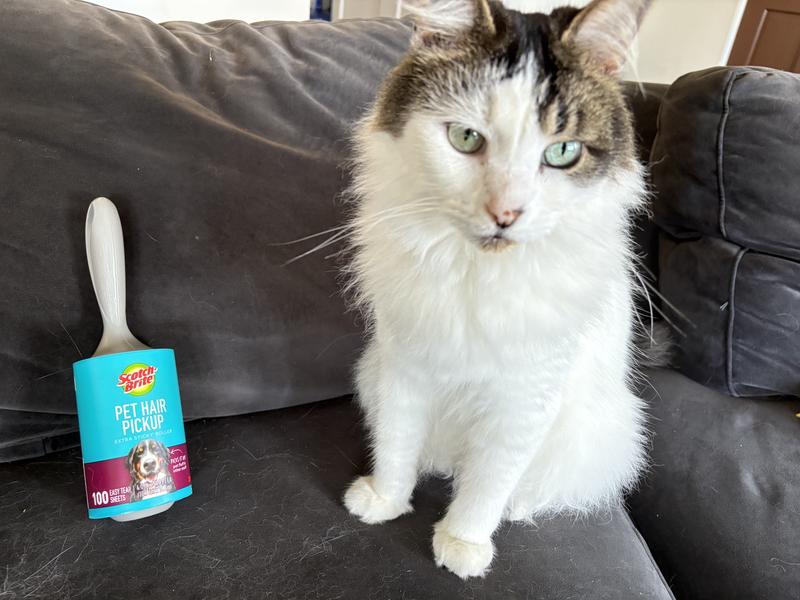 Photo - commentaire 2.