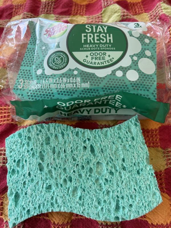 Scotch-Brite® Stay Fresh Heavy Duty Scrub Dots Sponge