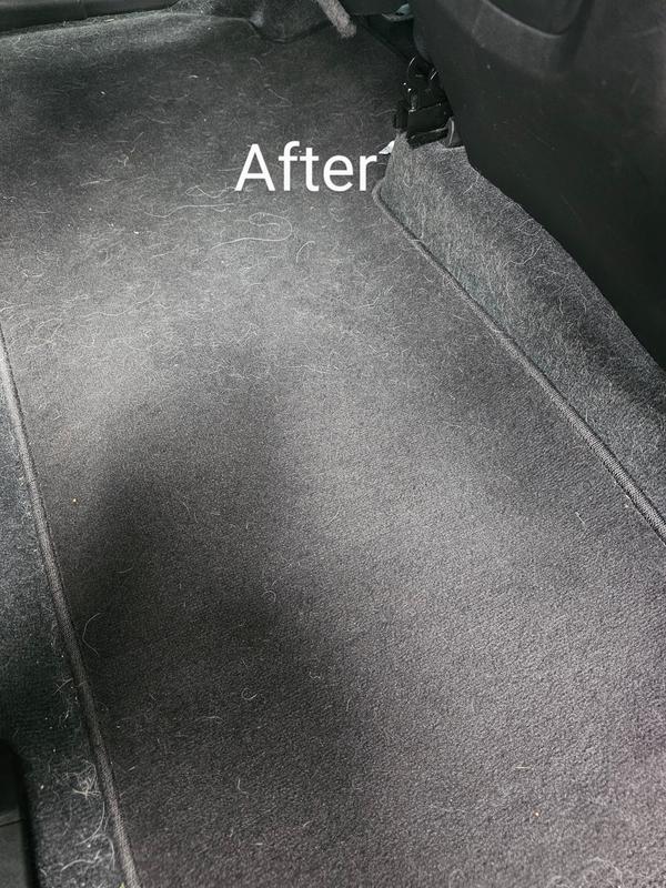 Amazed at what just one sheet of the Scotch Brite pet roller was able to pick up on our car mat!