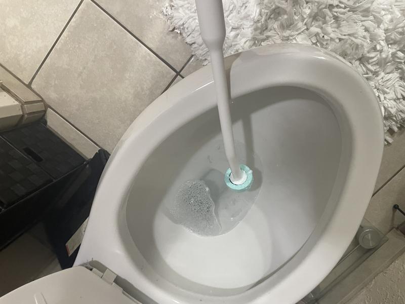 Dissolving Toilet Scrubbing System
