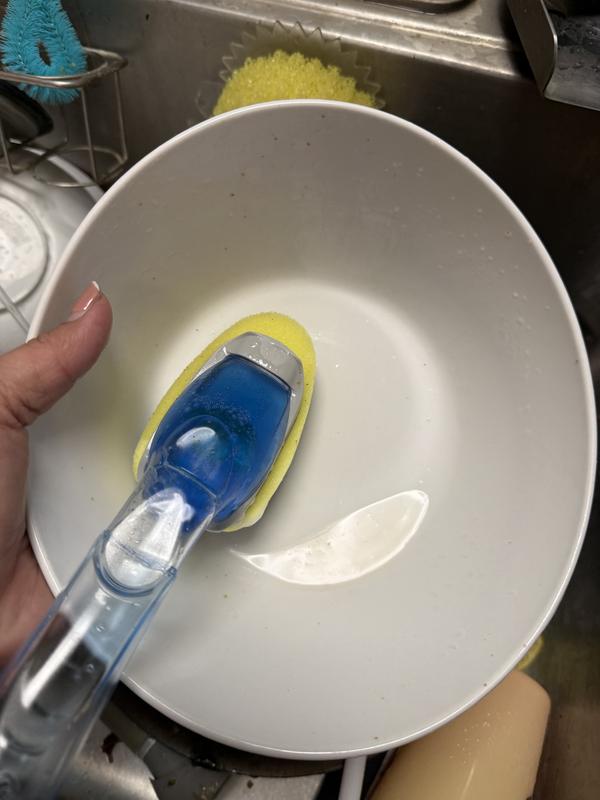 Photo - commentaire 6.