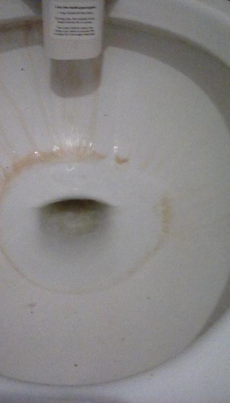 Scotch-brite Scrub & Drop Dissolvable Toilet Bowl Cleaning System