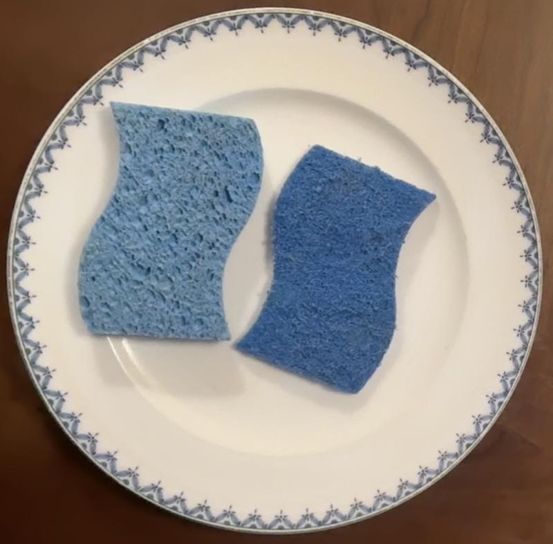 Photo - commentaire 7.