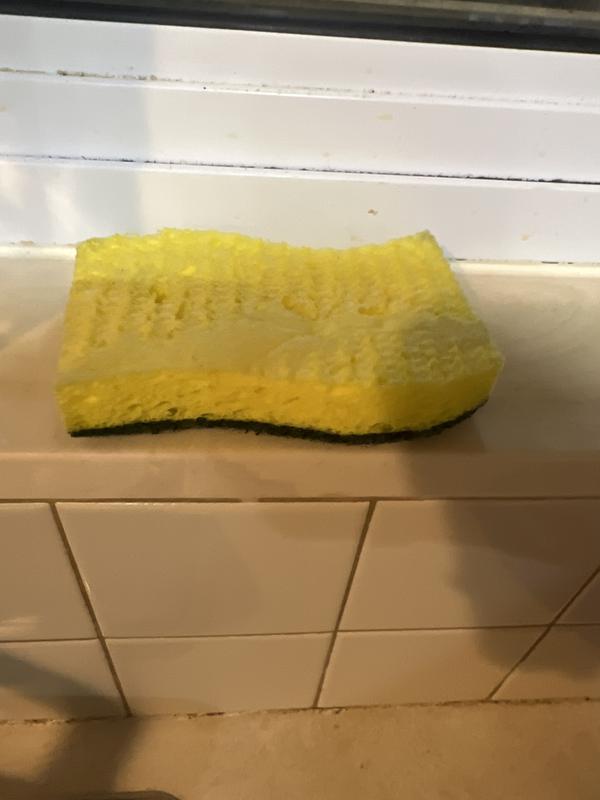 Sponge side up