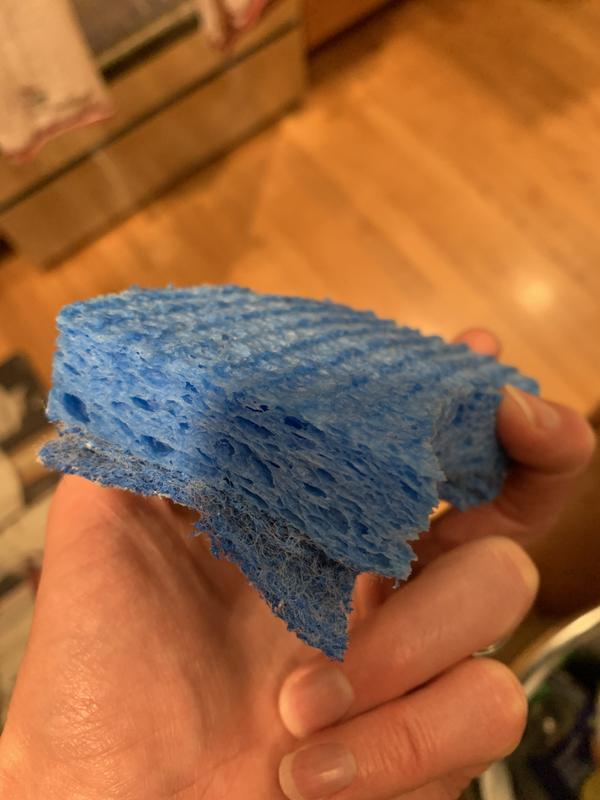 Photo - commentaire&nbsp;1.