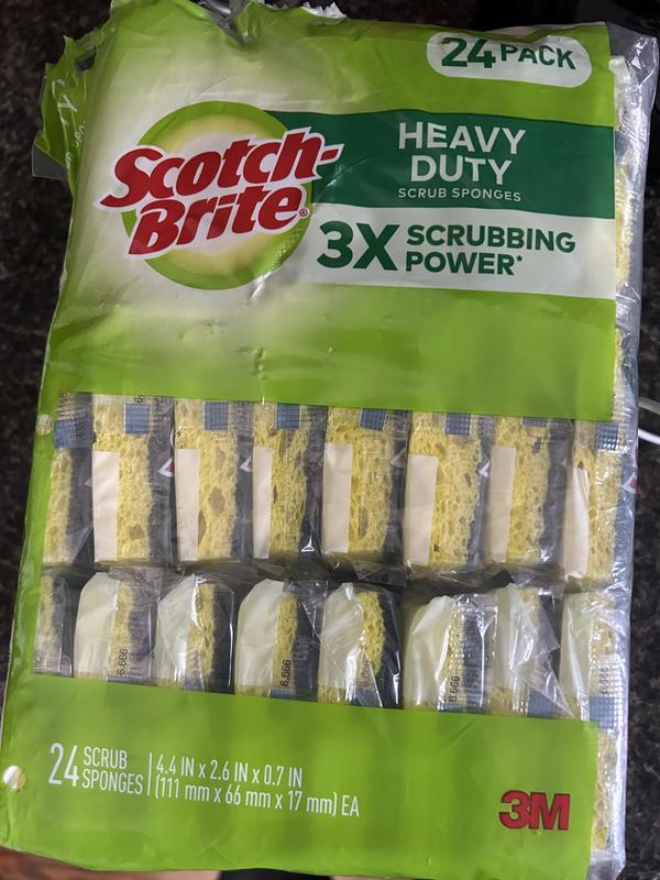 Scotch-Brite Non-Scratch Scrub Sponges, 24 Scrub Sponges, Lasts 50% Longer  than the Leading National Value Brand