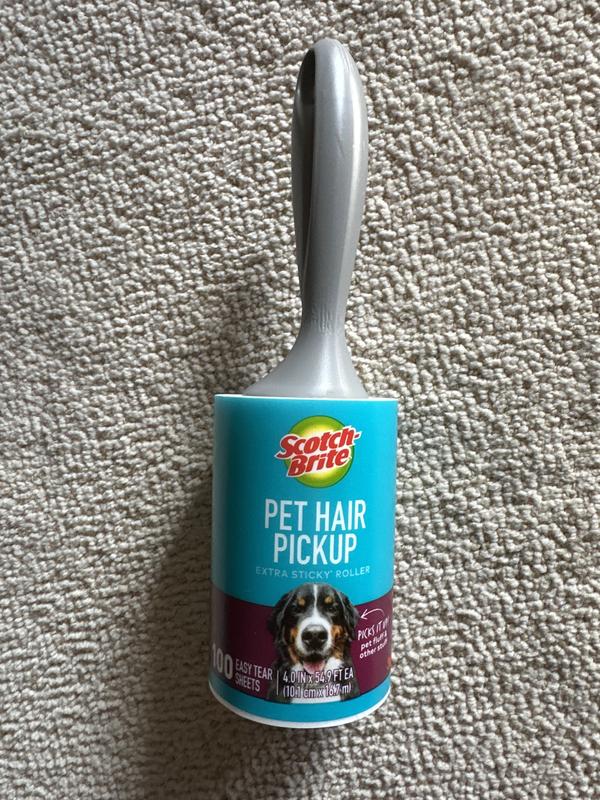 Photo - commentaire 6.