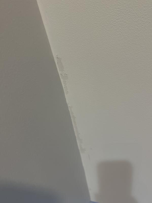 Tore the paint off the ceiling