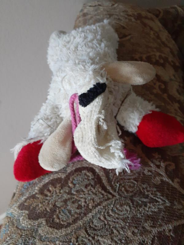 lamb chop dog toy easter