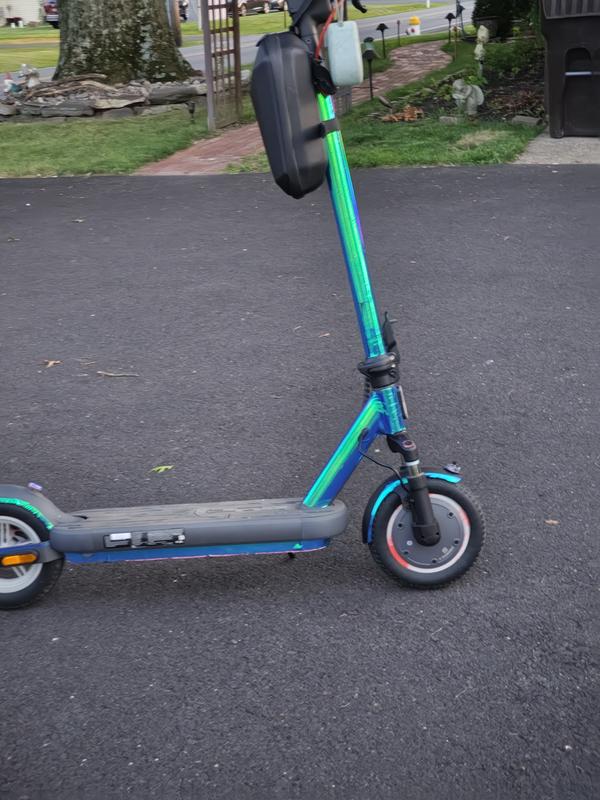 Photo from Scooter Bandits