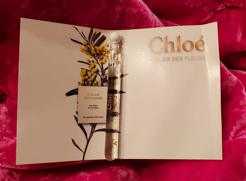 Chloé HERBA MIMOSA Atelier des Fleurs 217027374_nocolor_e1.jpg?ts=