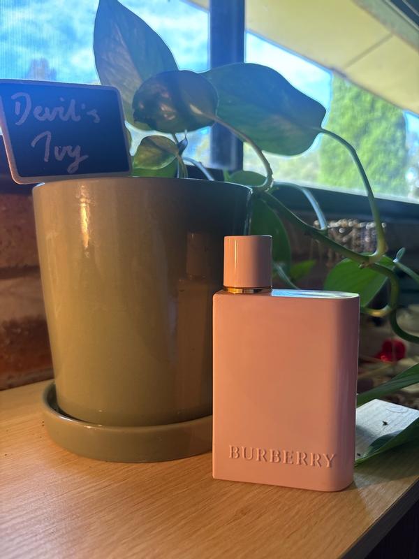 Review Thumbnail Image 0 299760402