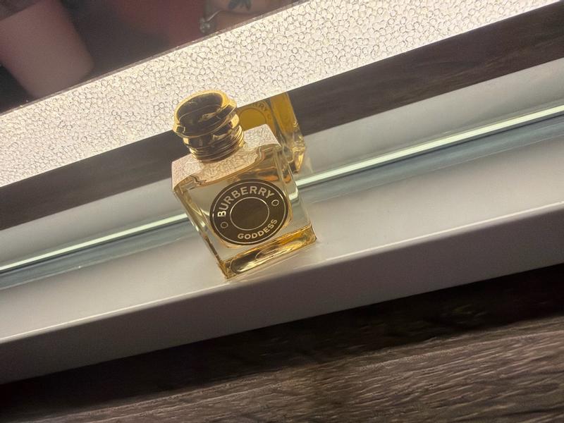 Review Thumbnail Image 0 300040979