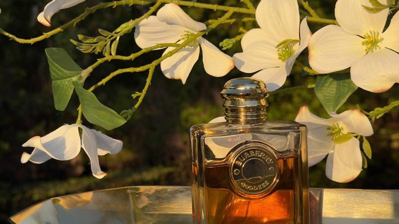 Review Thumbnail Image 0 299733594