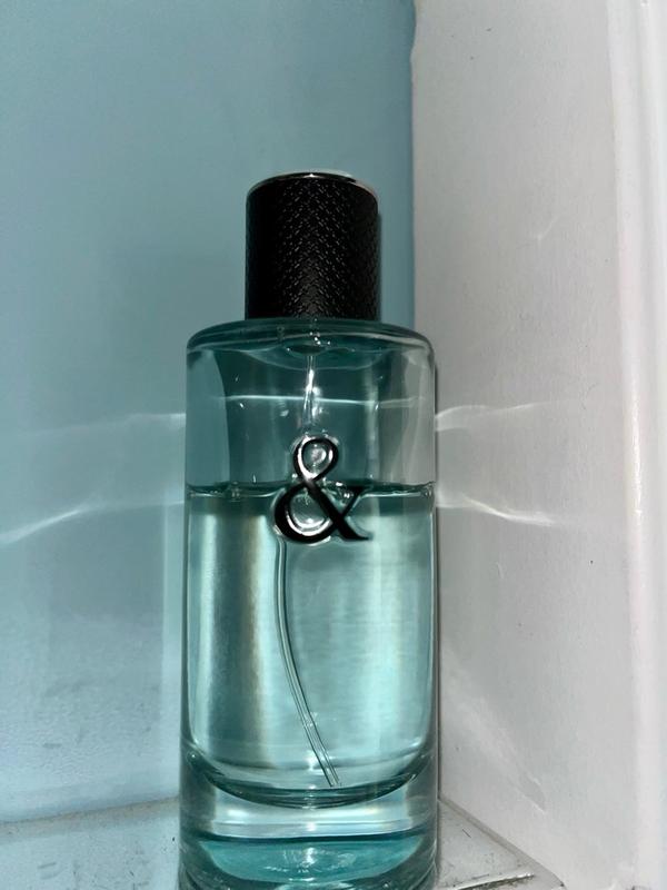 Tiffany & Love Eau de Toilette Spray by Tiffany for Men 3 oz