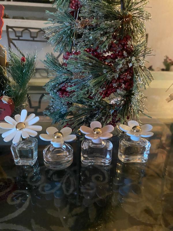 4-Pc. Daisy Fragrance Gift Set