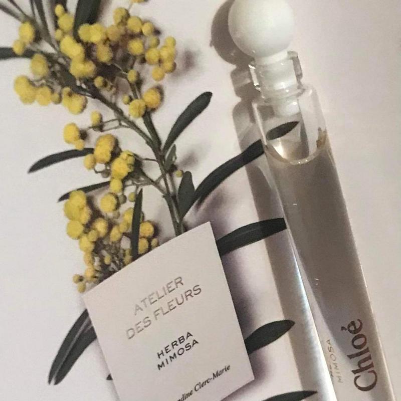 Chloé HERBA MIMOSA Atelier des Fleurs Chloé Atelier des Fleurs Herba Mimosa Eau de Parfum | Nordstrom