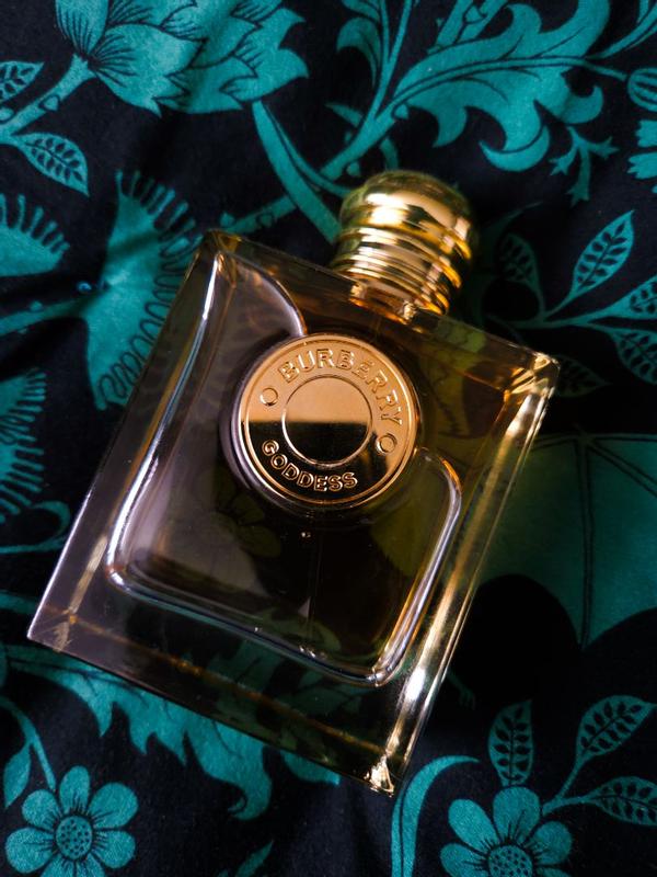 Review Thumbnail Image 0 299842266