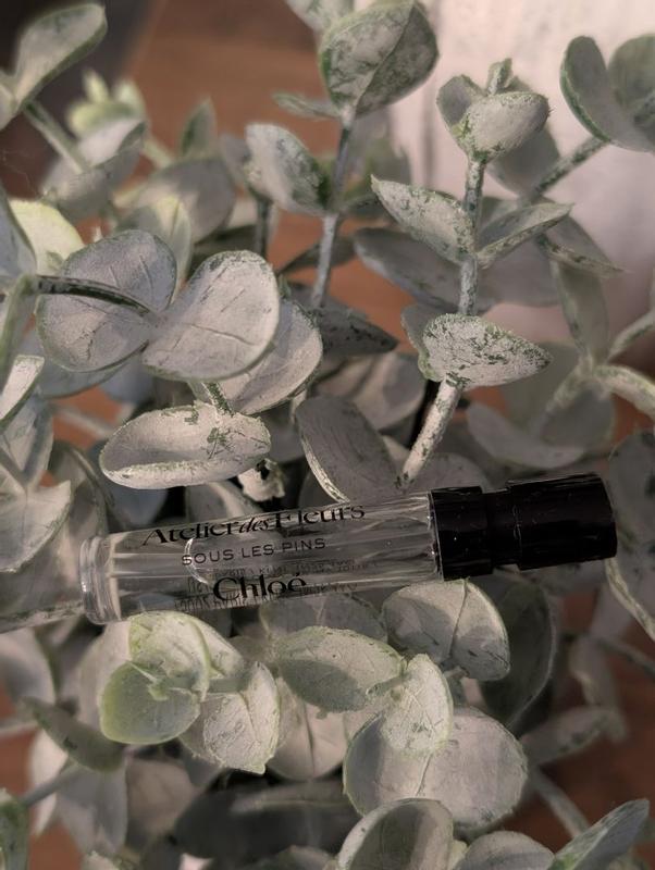 Review Thumbnail Image 1 299852798