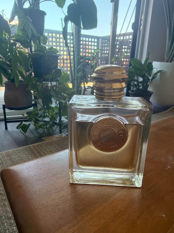 Review Thumbnail Image 0 300137045