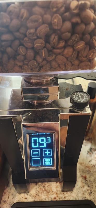 Counter Culture Coffee Hologram - Medium Roast, Sustainably Farmed, Kosher,  Whole Bean Coffee, 12 oz (1 Bag)