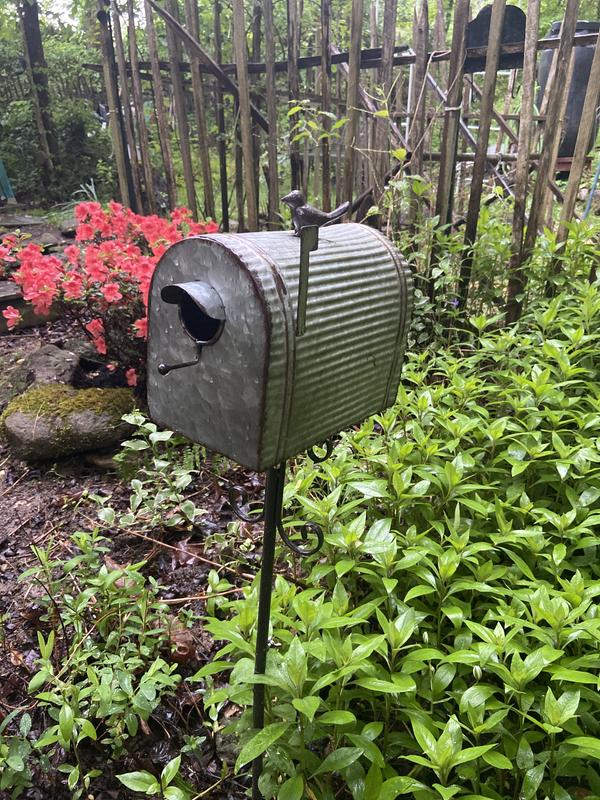 Birdhouse Mailbox Metal Garden for Vegetable Flower Organic Gardener #800-69 