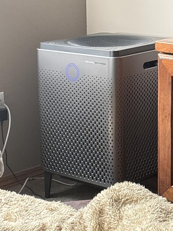 Customer photo for "Airmega 400 Air Pruifier"