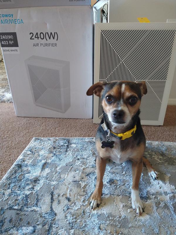 Coway Airmega 240 - Office Air Purifier Up To 403 Sq Ft. - Cowaymega