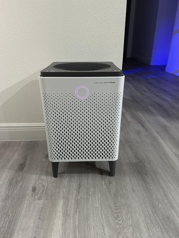 Customer photo for "Absolutely amazing!"