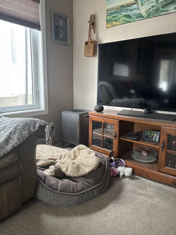 Customer photo for "Airmega 400 Air Pruifier"