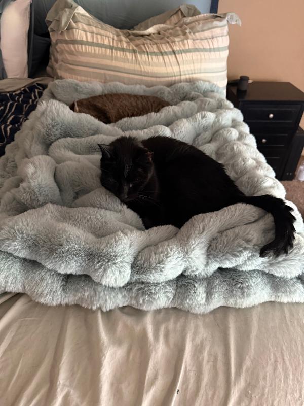 Customer photo for "Soft, warm, and cushiony"