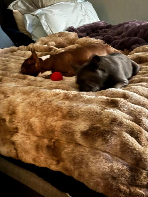 Customer photo for "Pure luxury!"