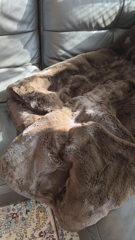 Customer photo for "Everyone in my house is obsessed with this blanket"