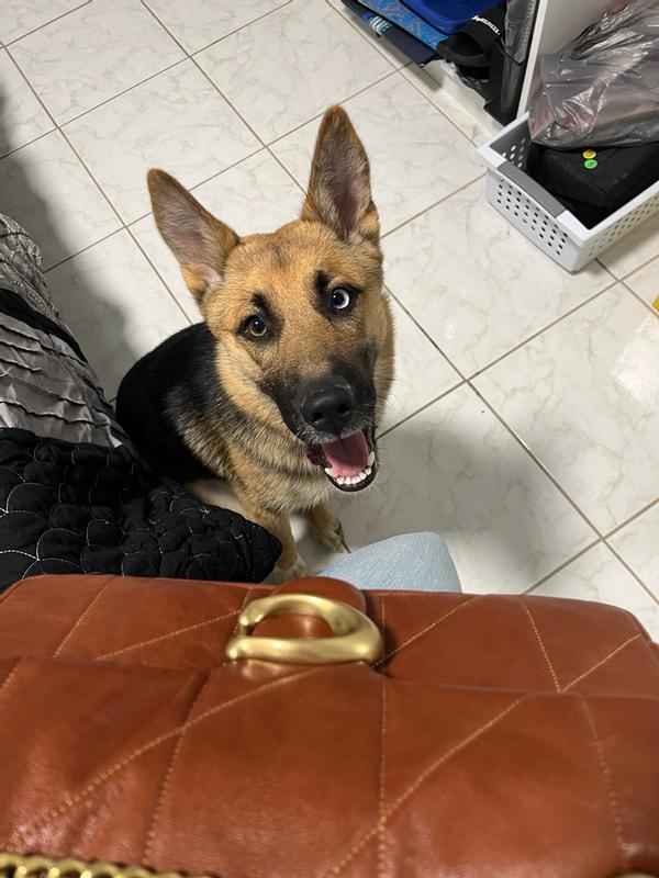 Review Thumbnail Image 0 384205152