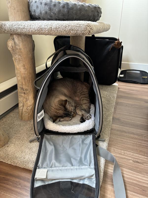 A place to sleep.