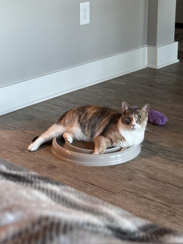 Morovilla Turbo Interactive Scratcher Cat Toy – Fun & Engaging Play For Your Feline Friend