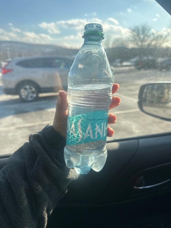 DASANI 33-fl oz Water Soft Drink 00049000026566 at Lowes.com