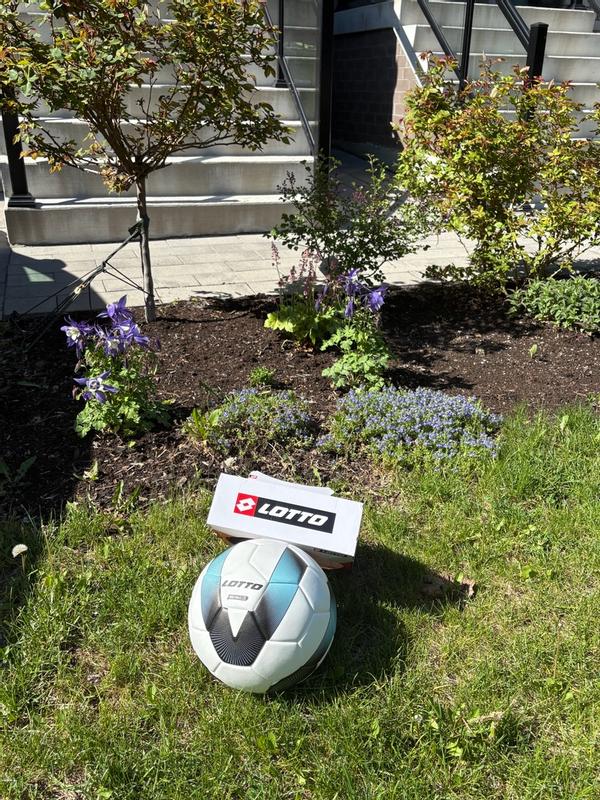 Photo - commentaire 4.