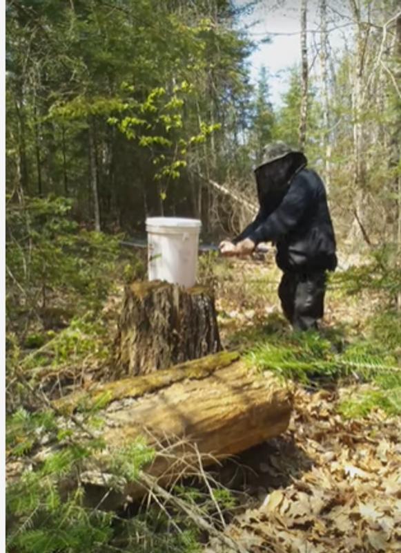 Getting ready to swing the Chinese Machete at a 5 gallon bucket filled with water.