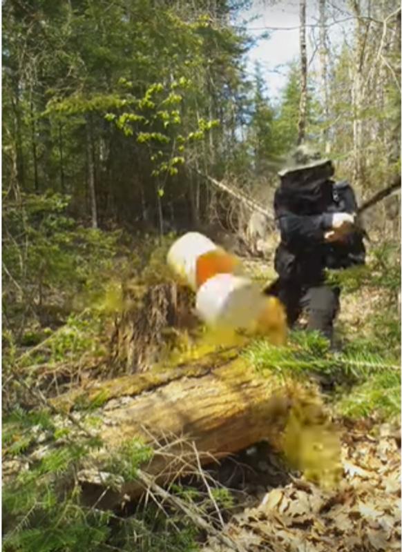 Tough blade on this machete!