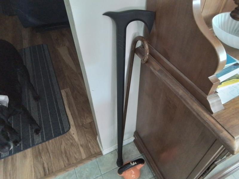 The difference between a sturdy cane and the smaller wood version