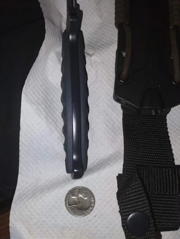 Quarter for reference.