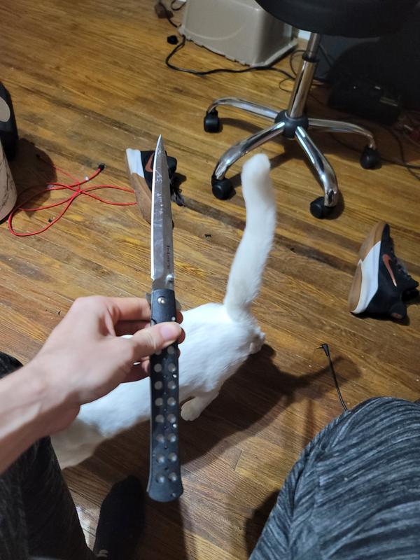 Toilet paper size comparison and dobby size comparison