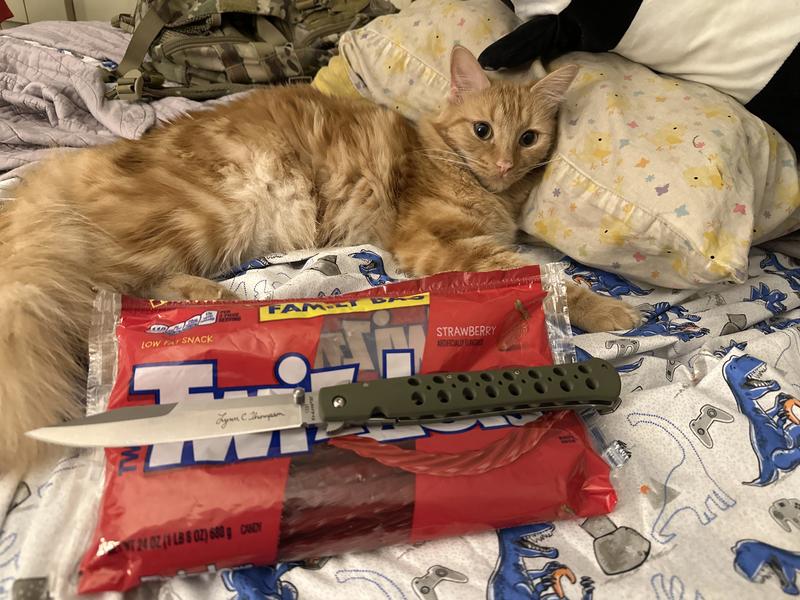 Longer than twizler, lynn thompson is my hero