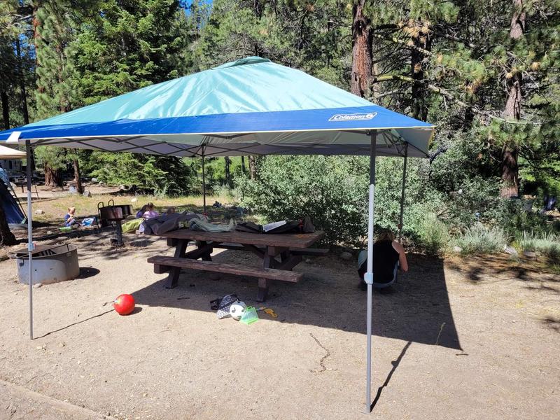OASIS™ 13 x 13 Canopy with Sun Wall | Coleman